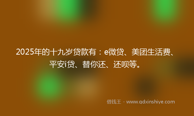 2025年的十九岁贷款有：e微贷、美团生活费、平安i贷、替你还、还呗等。