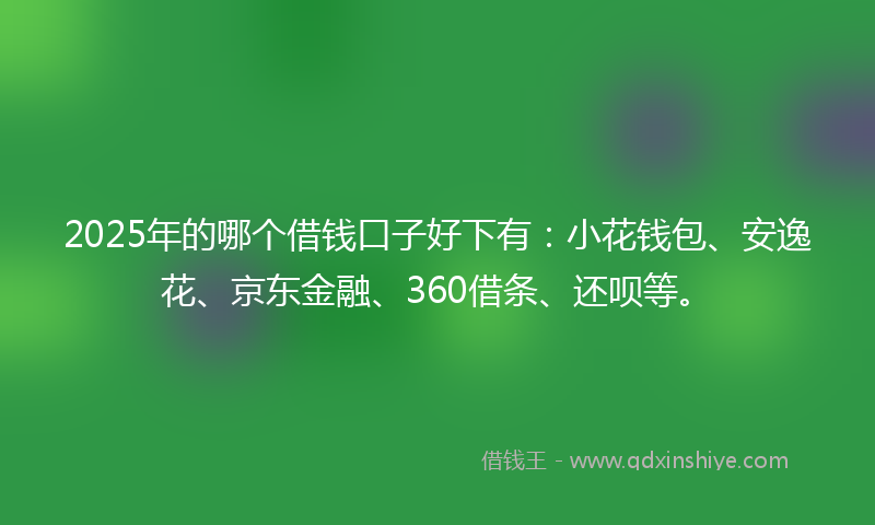 2025年的哪个借钱口子好下有：小花钱包、安逸花、京东金融、360借条、还呗等。