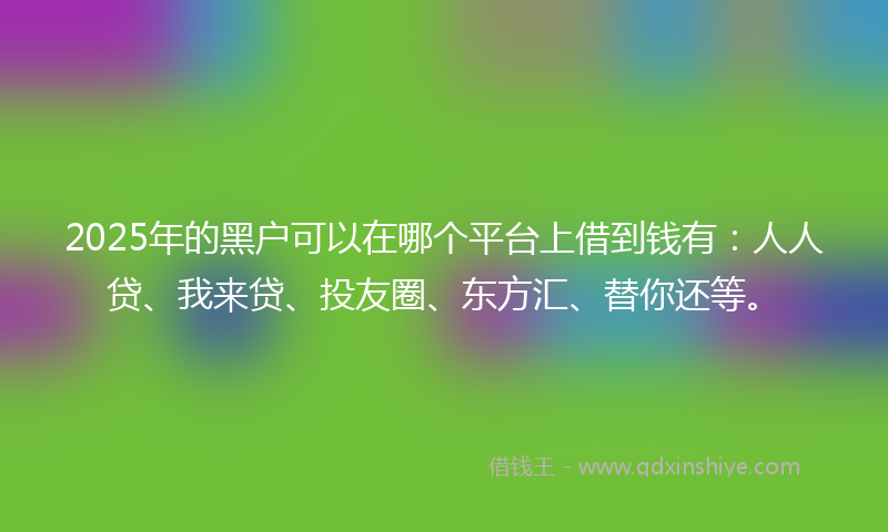 2025年的黑户可以在哪个平台上借到钱有：人人贷、我来贷、投友圈、东方汇、替你还等。
