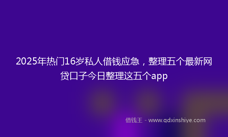 2025年热门16岁私人借钱应急，整理五个最新网贷口子今日整理这五个app