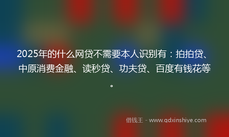 2025年的什么网贷不需要本人识别有：拍拍贷、中原消费金融、读秒贷、功夫贷、百度有钱花等。