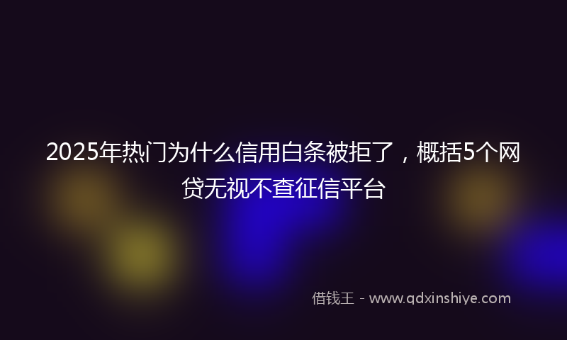 2025年热门为什么信用白条被拒了，概括5个网贷无视不查征信平台