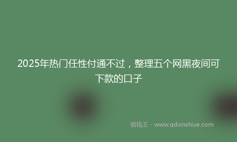 2025年热门任性付通不过，整理五个网黑夜间可下款的口子