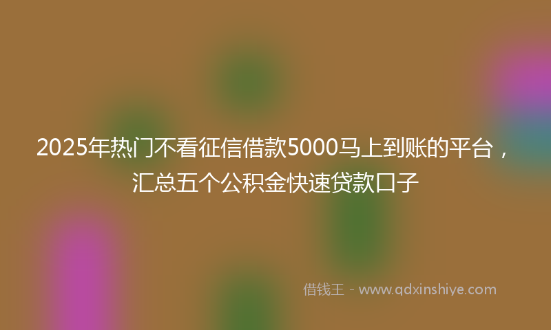 2025年热门不看征信借款5000马上到账的平台，汇总五个公积金快速贷款口子