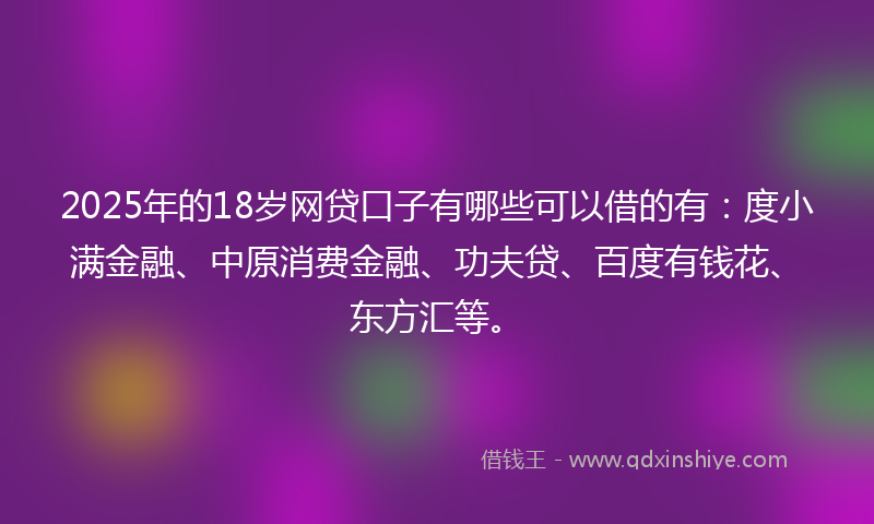 2025年的18岁网贷口子有哪些可以借的有：度小满金融、中原消费金融、功夫贷、百度有钱花、东方汇等。
