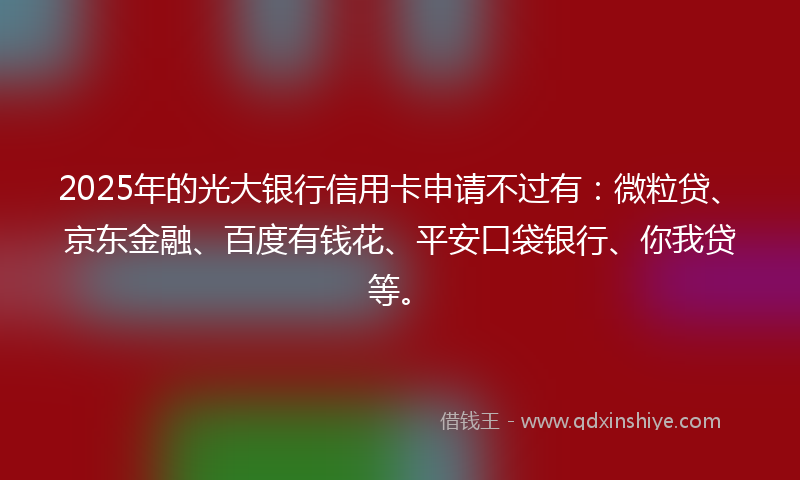2025年的光大银行信用卡申请不过有：微粒贷、京东金融、百度有钱花、平安口袋银行、你我贷等。