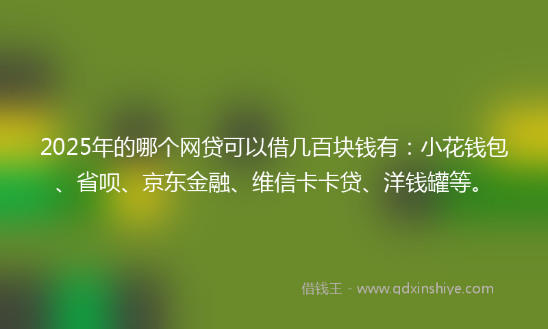 2025年的哪个网贷可以借几百块钱有：小花钱包、省呗、京东金融、维信卡卡贷、洋钱罐等。