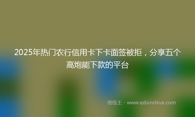 2025年热门农行信用卡下卡面签被拒，分享五个高炮能下款的平台