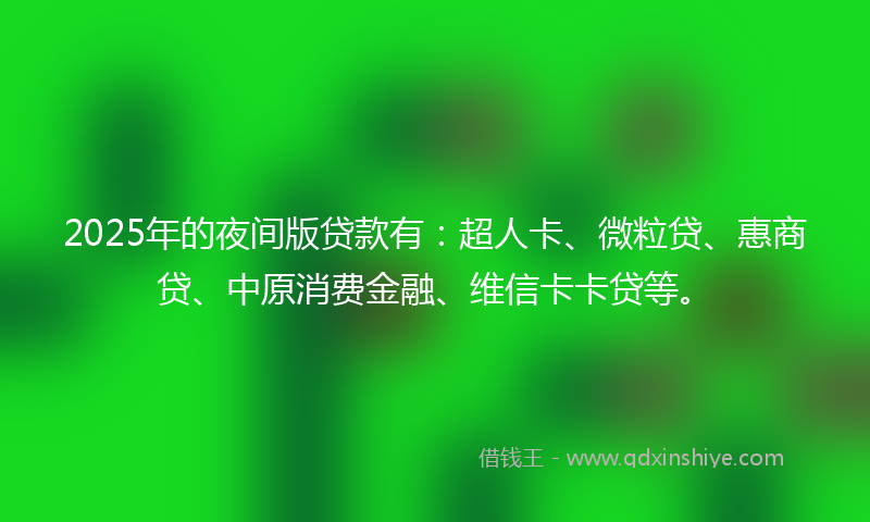2025年的夜间版贷款有：超人卡、微粒贷、惠商贷、中原消费金融、维信卡卡贷等。