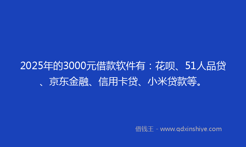 2025年的3000元借款软件有：花呗、51人品贷、京东金融、信用卡贷、小米贷款等。
