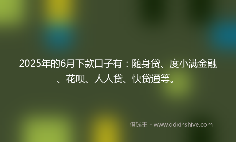 2025年的6月下款口子有：随身贷、度小满金融、花呗、人人贷、快贷通等。