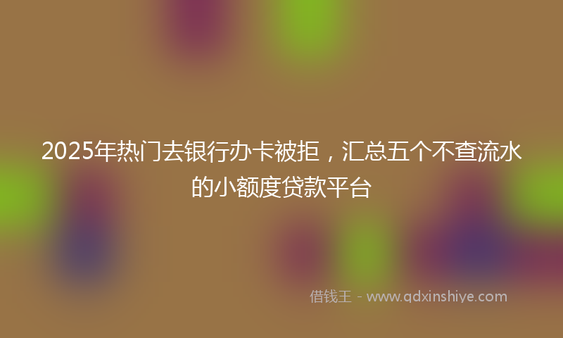 2025年热门去银行办卡被拒，汇总五个不查流水的小额度贷款平台
