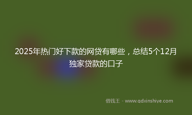 2025年热门好下款的网贷有哪些，总结5个12月独家贷款的口子