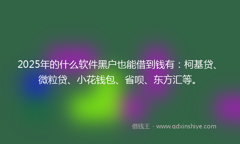 2025年的什么软件黑户也能借到钱有：柯基贷、微粒贷、小花钱包、省呗、东方汇等。