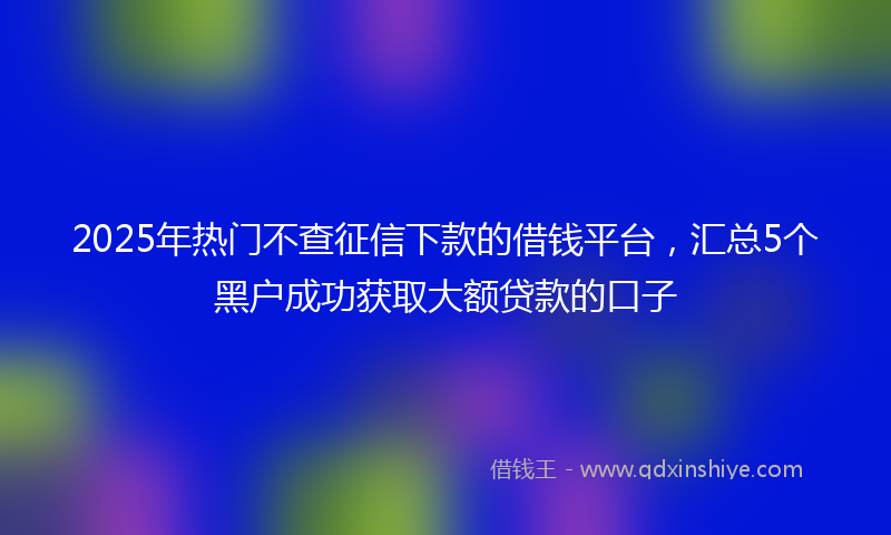 2025年热门不查征信下款的借钱平台，汇总5个黑户成功获取大额贷款的口子