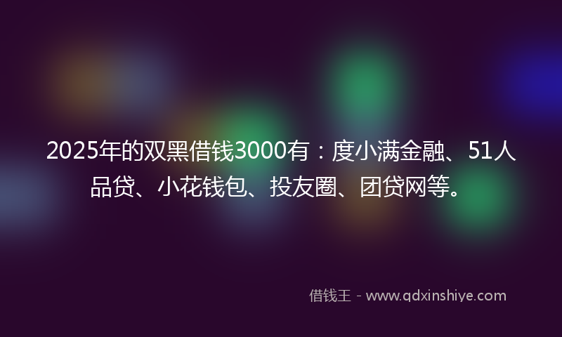 2025年的双黑借钱3000有：度小满金融、51人品贷、小花钱包、投友圈、团贷网等。