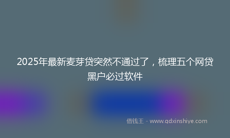 2025年最新麦芽贷突然不通过了，梳理五个网贷黑户必过软件