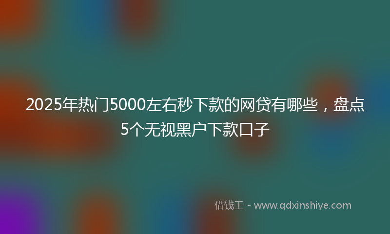 2025年热门5000左右秒下款的网贷有哪些，盘点5个无视黑户下款口子