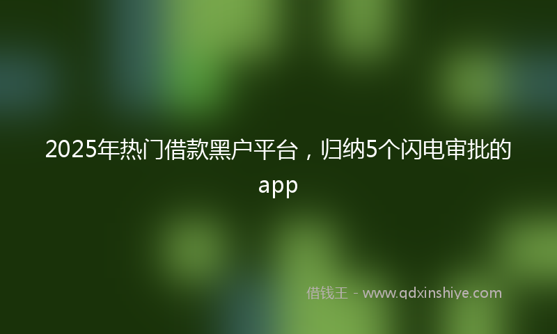 2025年热门借款黑户平台，归纳5个闪电审批的app