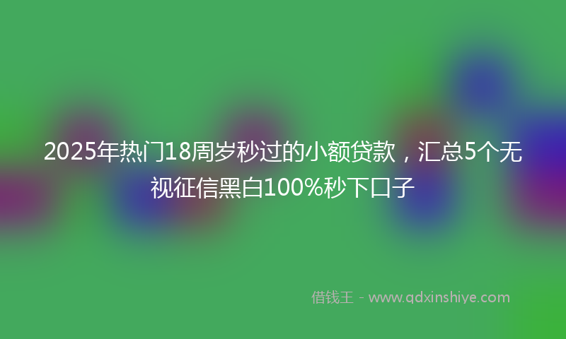 2025年热门18周岁秒过的小额贷款，汇总5个无视征信黑白100%秒下口子