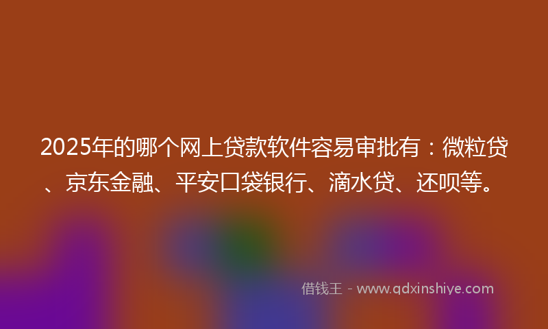 2025年的哪个网上贷款软件容易审批有：微粒贷、京东金融、平安口袋银行、滴水贷、还呗等。