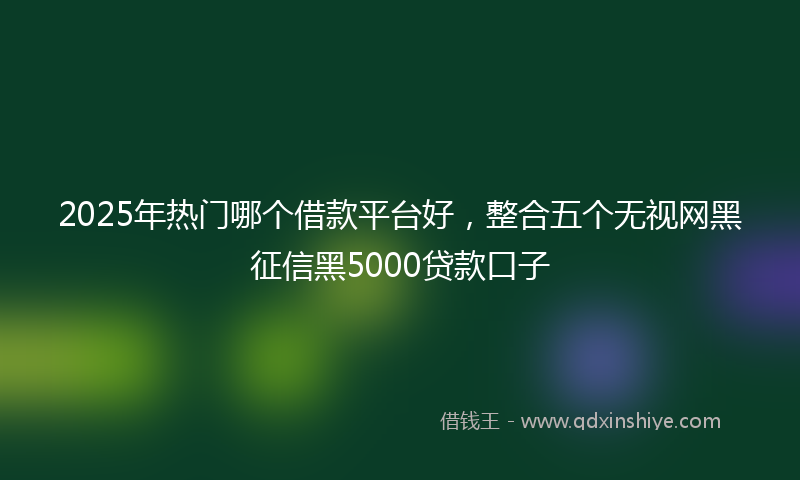 2025年热门哪个借款平台好，整合五个无视网黑征信黑5000贷款口子
