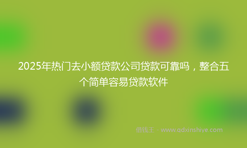 2025年热门去小额贷款公司贷款可靠吗，整合五个简单容易贷款软件