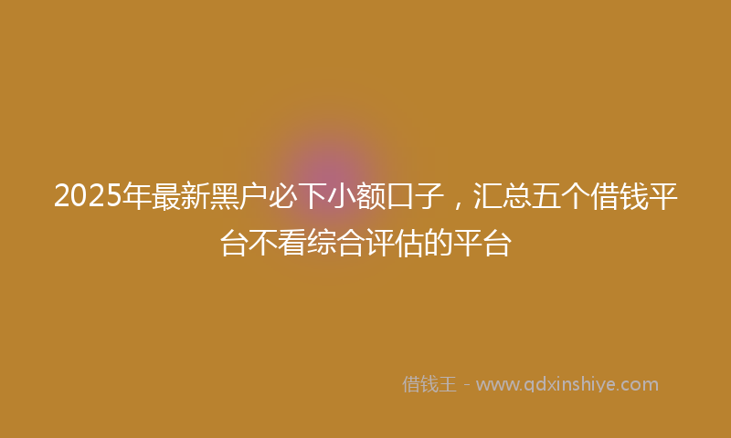 2025年最新黑户必下小额口子，汇总五个借钱平台不看综合评估的平台
