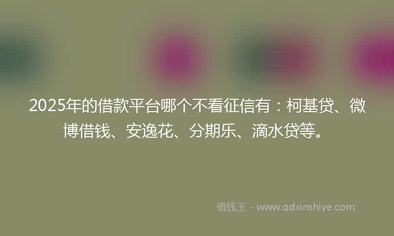 2025年的借款平台哪个不看征信有：柯基贷、微博借钱、安逸花、分期乐、滴水贷等。