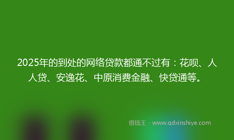 2025年的到处的网络贷款都通不过有：花呗、人人贷、安逸花、中原消费金融、快贷通等。