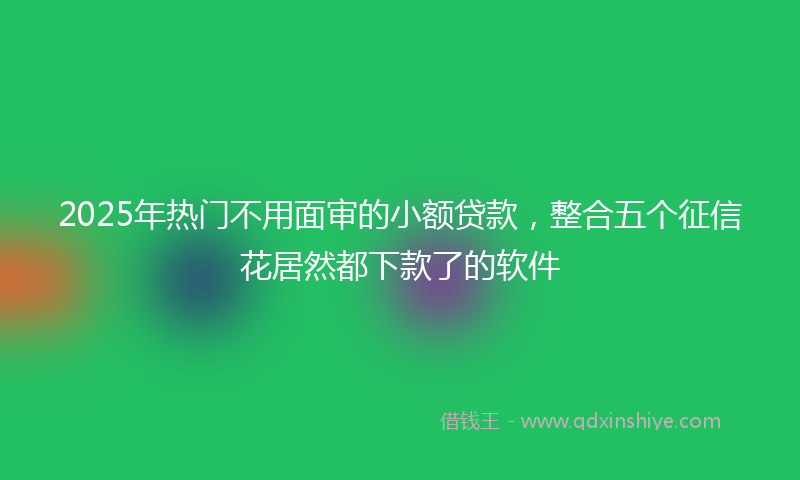 2025年热门不用面审的小额贷款，整合五个征信花居然都下款了的软件