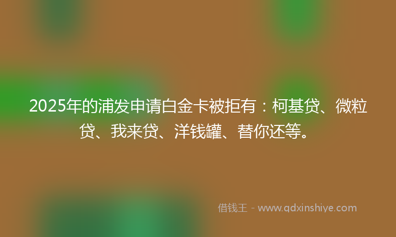 2025年的浦发申请白金卡被拒有：柯基贷、微粒贷、我来贷、洋钱罐、替你还等。