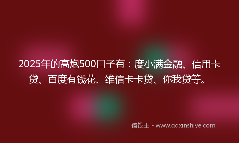 2025年的高炮500口子有：度小满金融、信用卡贷、百度有钱花、维信卡卡贷、你我贷等。