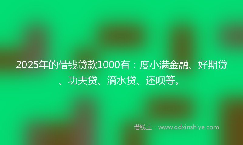 2025年的借钱贷款1000有：度小满金融、好期贷、功夫贷、滴水贷、还呗等。