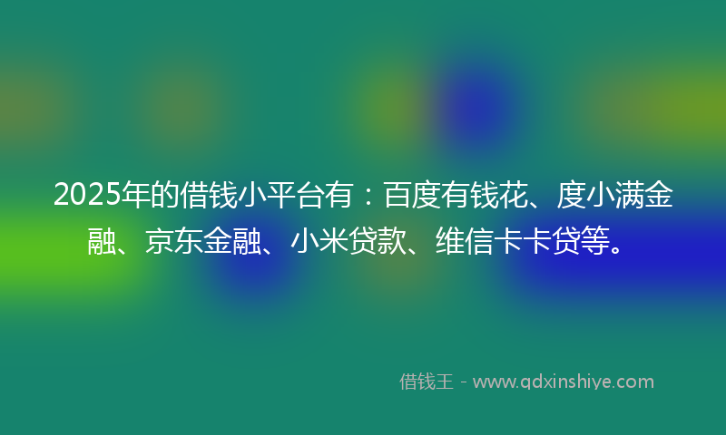 2025年的借钱小平台有：百度有钱花、度小满金融、京东金融、小米贷款、维信卡卡贷等。