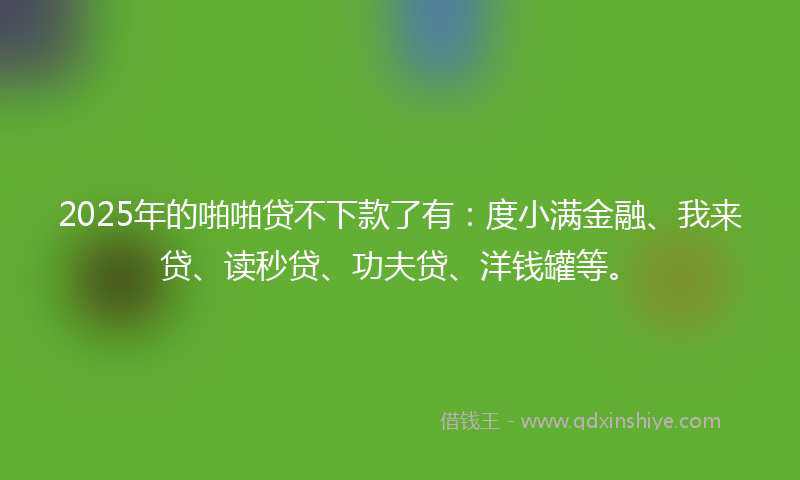 2025年的啪啪贷不下款了有：度小满金融、我来贷、读秒贷、功夫贷、洋钱罐等。