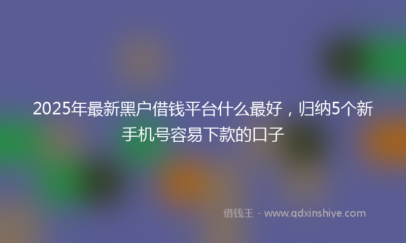 2025年最新黑户借钱平台什么最好，归纳5个新手机号容易下款的口子