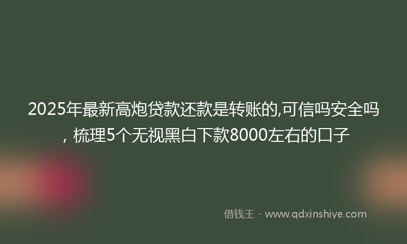 2025年最新高炮贷款还款是转账的,可信吗安全吗，梳理5个无视黑白下款8000左右的口子