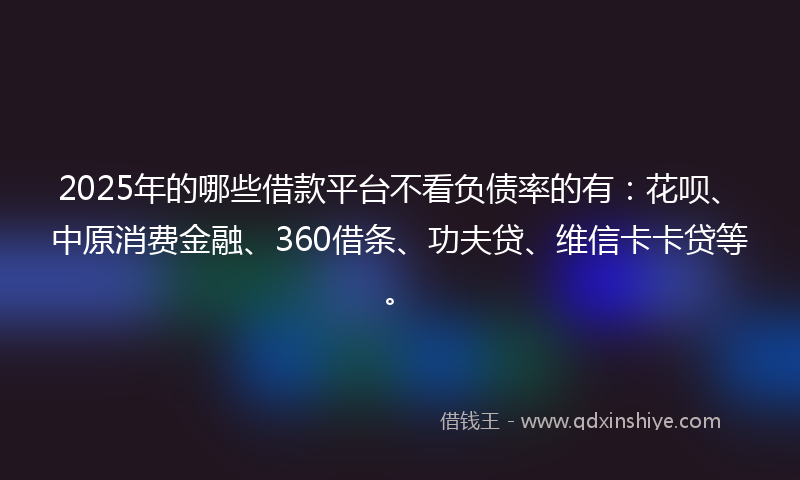 2025年的哪些借款平台不看负债率的有：花呗、中原消费金融、360借条、功夫贷、维信卡卡贷等。