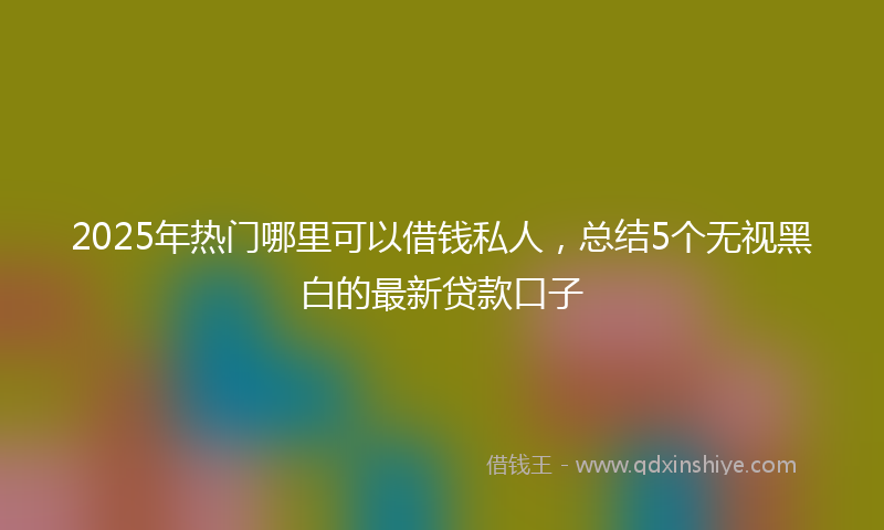 2025年热门哪里可以借钱私人，总结5个无视黑白的最新贷款口子