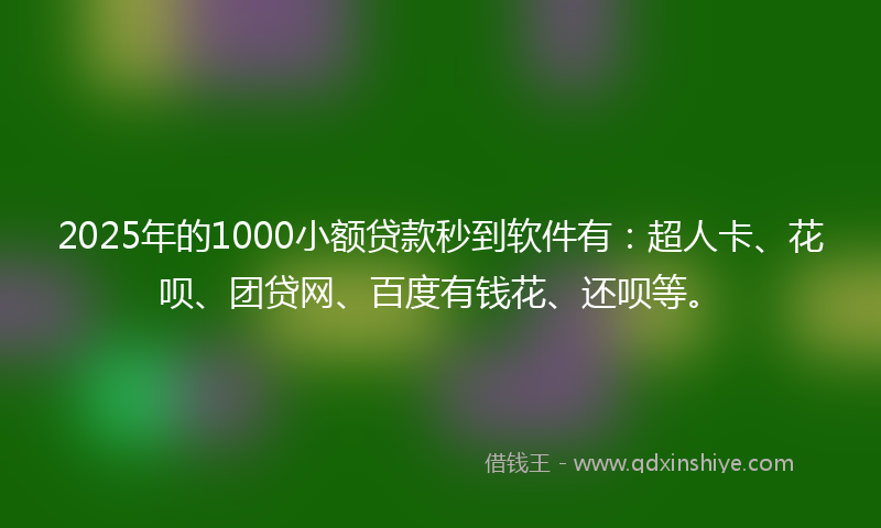 2025年的1000小额贷款秒到软件有：超人卡、花呗、团贷网、百度有钱花、还呗等。