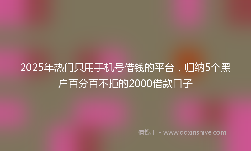 2025年热门只用手机号借钱的平台，归纳5个黑户百分百不拒的2000借款口子