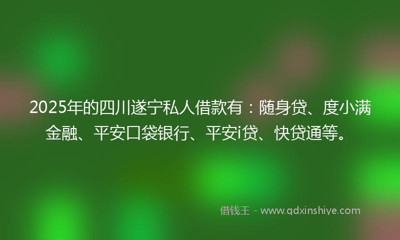 2025年的四川遂宁私人借款有：随身贷、度小满金融、平安口袋银行、平安i贷、快贷通等。