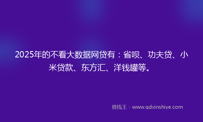 2025年的不看大数据网贷有：省呗、功夫贷、小米贷款、东方汇、洋钱罐等。