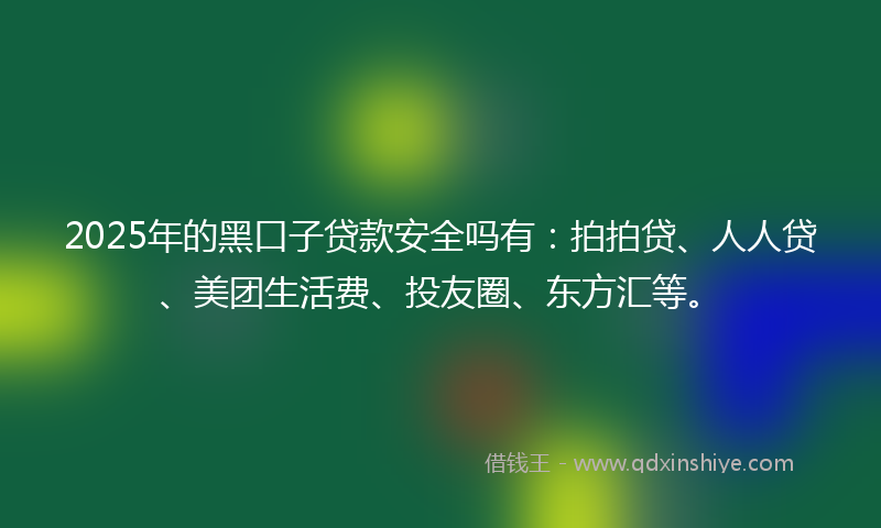 2025年的黑口子贷款安全吗有：拍拍贷、人人贷、美团生活费、投友圈、东方汇等。