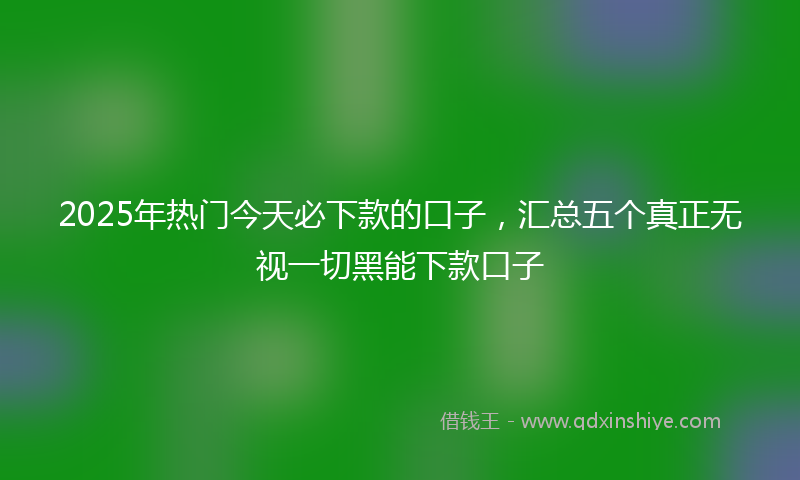 2025年热门今天必下款的口子，汇总五个真正无视一切黑能下款口子