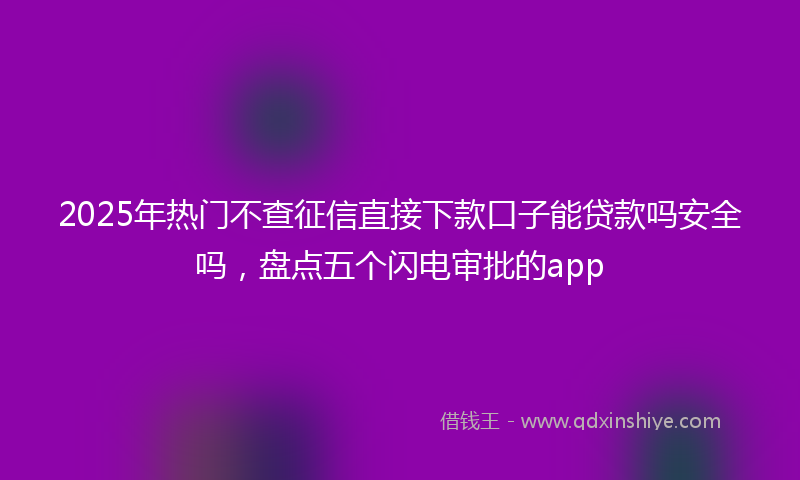 2025年热门不查征信直接下款口子能贷款吗安全吗，盘点五个闪电审批的app