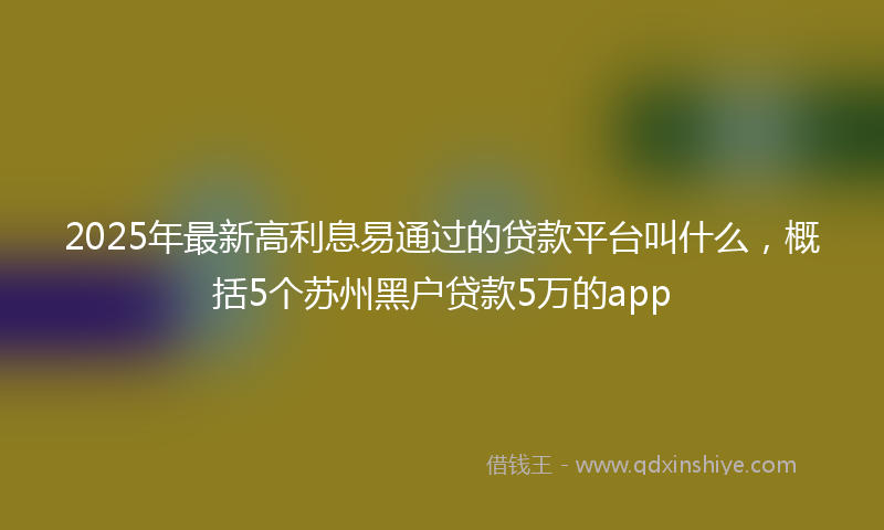 2025年最新高利息易通过的贷款平台叫什么，概括5个苏州黑户贷款5万的app