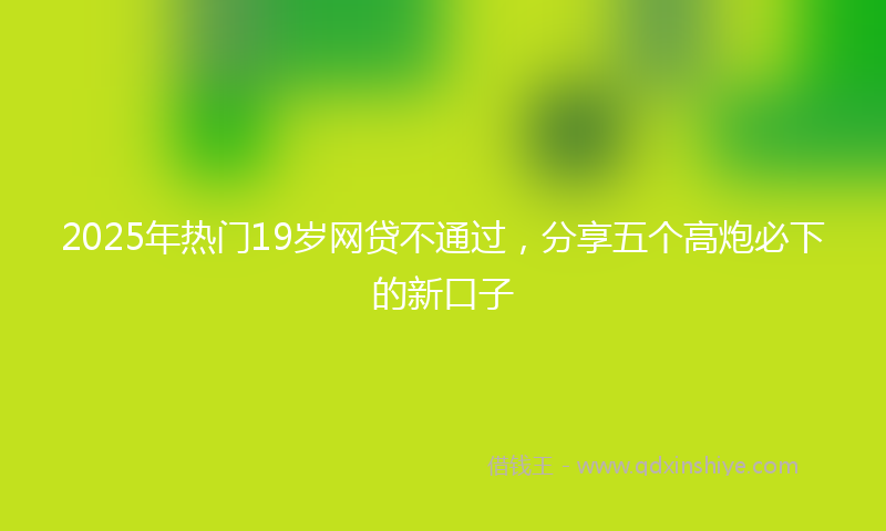 2025年热门19岁网贷不通过，分享五个高炮必下的新口子