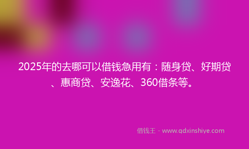 2025年的去哪可以借钱急用有：随身贷、好期贷、惠商贷、安逸花、360借条等。